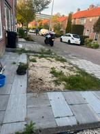 Tuinman aangeboden, Ophalen of Verzenden, Nieuw, 20 m² of meer