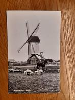 Moergestel molen 3, Verzamelen, Ansichtkaarten | Nederland, Ophalen of Verzenden, 1960 tot 1980, Ongelopen, Noord-Brabant