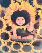 Fotolijst Anne Geddes baby in zonnebloemen veld, Minder dan 50 cm, Ophalen of Verzenden, Zo goed als nieuw, Foto of Poster