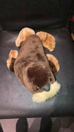 Zeehond knuffel, Ophalen, Zo goed als nieuw, Overige typen