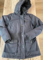 Grijze AirForce winterjas maat S Air Force jas, Kleding | Dames, Jassen | Winter, Airforce, Ophalen of Verzenden, Maat 36 (S)