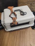 Puppy pakket voor labradoedel, Dieren en Toebehoren, Ophalen of Verzenden