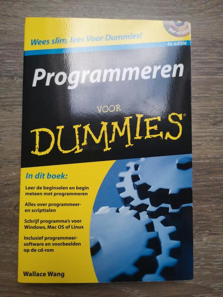 Programmeren voor Dummies - 4e editie, Boeken, Informatica en Computer, Zo goed als nieuw, Ophalen of Verzenden
