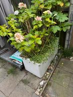 3 kunstof plantenbakken, Tuin en Terras, Bloembakken en Plantenbakken, Ophalen of Verzenden, Rond, Kunststof, Minder dan 60 cm