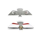 Metalen parawing C (KCT/MARSOF), Ophalen of Verzenden, Landmacht, Nederland, Lintje, Medaille of Wings