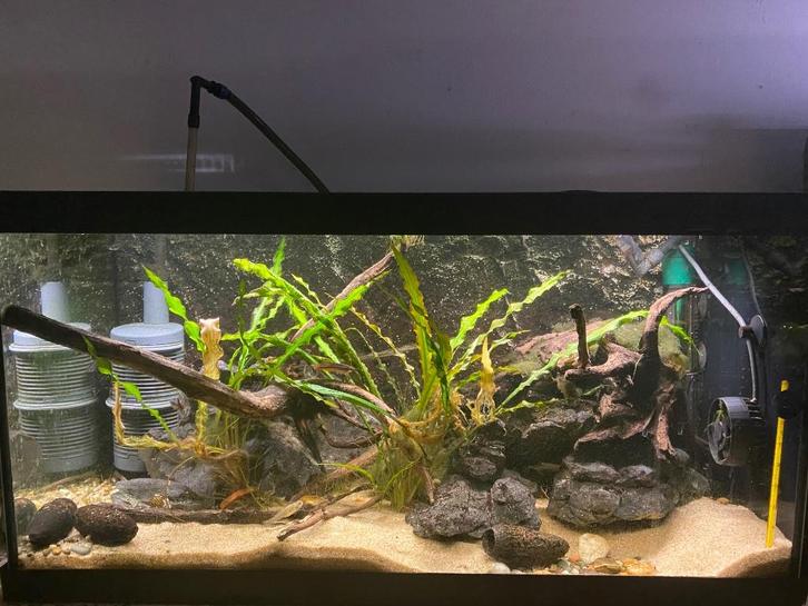 Aquarium (Eheim) 54 liter, Dieren en Toebehoren, Vissen | Aquaria en Toebehoren, Gebruikt, Leeg aquarium, Ophalen