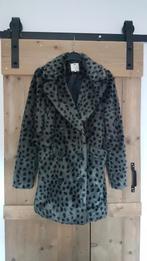 Dames winter jas / winterjas Dept maat S, Ophalen of Verzenden, Zo goed als nieuw, Maat 36 (S), Grijs