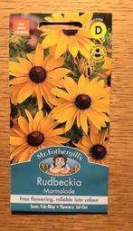 Rudbeckia Hirta Marmalade, mr Fothergill's 500 zaadjes, Tuin en Terras, Bloembollen en Zaden, Ophalen of Verzenden, Voorjaar, Volle zon