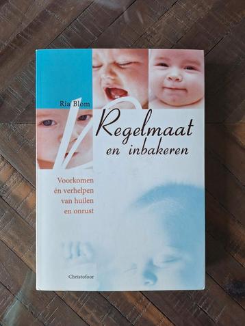 R. Blom - Regelmaat en inbakeren beschikbaar voor biedingen