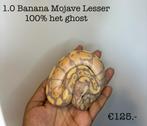 1.0 Banana Mojave Lesser 100 % het ghost NK24, Dieren en Toebehoren, Reptielen en Amfibieën, Slang