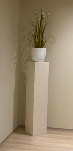 Plantenstandaard met plant, Ophalen of Verzenden, Zo goed als nieuw