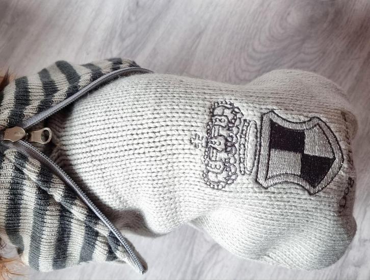 NIEUW Stoer Truitje Chihuahua Trixie - INFO ZIE ADVERTENTIE, Dieren en Toebehoren, Hondenkleding, Nieuw, Ophalen of Verzenden