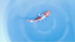 Japanse koi karper 27cm "Doitsu Beni Kikokuryu", Karper of Koi