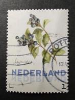 Janneke Brinkman liguster pers zegel 2013, Ophalen of Verzenden