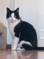 Tommy de poes, 0 tot 2 jaar