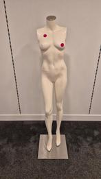 Kledingpop Model D - Etalagepop Paspop Vrouwelijk Dames, Ophalen, Gebruikt, Paspop
