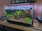 60 liter aquarium inclusief chihiros, filter + 14x tetra, Dieren en Toebehoren, Ophalen, Zo goed als nieuw, Leeg aquarium