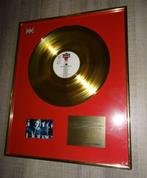 Hothouse Flowers Gold Home Record (in-house) Award Disc, Ophalen of Verzenden, Gebruikt, Cd of Plaat