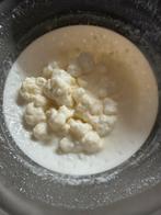kefir   20gr is genoeg voor halve liter melk, Diversen, Levensmiddelen, Ophalen