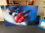 Schilderij van trespa 150x100cm, Ophalen