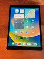 Apple iPad Pro 12,9 Inch, Computers en Software, Apple iPads, Apple iPad, 12 inch, Ophalen of Verzenden, Zo goed als nieuw