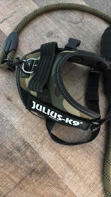 Julius K9 tuigje hond XS exclusief riem beschikbaar voor biedingen