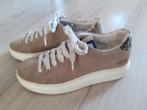 Zand beige suede sneakers, merk: MARUTI, maat 37, nieuwstaat, Beige, Ophalen of Verzenden, Maruti, Sneakers of Gympen