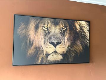 Canvas in lijst; Leeuw beschikbaar voor biedingen