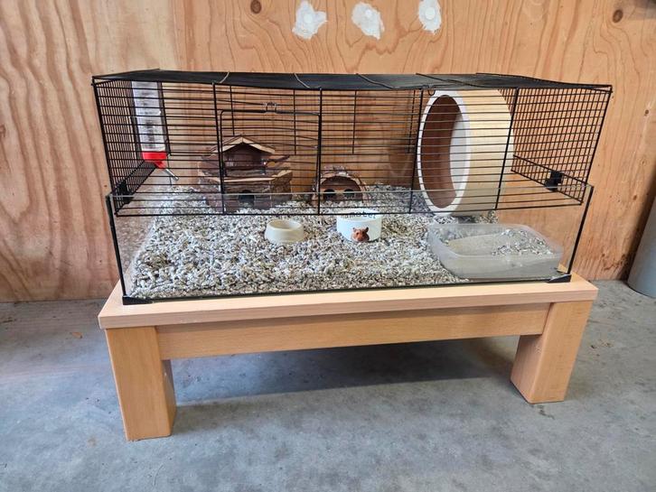 Hamsterkooi groot met tafeltje en andere accessoires, Dieren en Toebehoren, Knaagdieren en Konijnen | Hokken en Kooien, Zo goed als nieuw