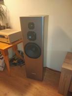 transmissielijn luidsprekers., Audio, Tv en Foto, Luidsprekers, Zo goed als nieuw, 120 watt of meer, Front, Rear of Stereo speakers