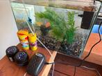 Aquarium met 6 vissen, filterpomp, zuurstofpomp, voer, Ophalen, Zo goed als nieuw, Gevuld zoetwateraquarium