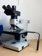 Leitz Ergolux microscoop, Audio, Tv en Foto, Optische apparatuur | Microscopen, Ophalen of Verzenden, Zo goed als nieuw, Minder dan 400x