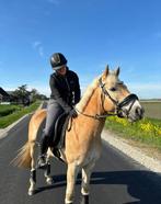 Verzorger/bijrijder gezocht, Ophalen of Verzenden