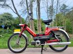 Puch Maxi NOS kroonplaat, Ophalen, Nieuw, Frame