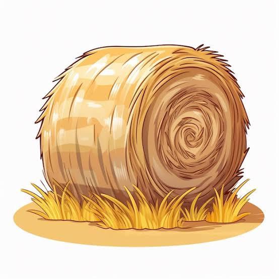 Gezocht:  Ruwvoer, Voordroog, Stofallergie,, Dieren en Toebehoren, Dierenvoeding, Vee, Ophalen