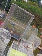 Te koop, Dieren en Toebehoren, Ophalen, Hout, Vogelkooi
