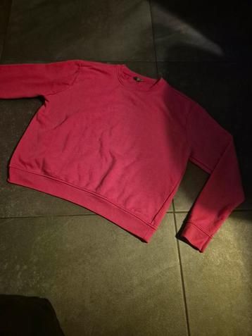 Roze Zeeman Sweater Maat 42 beschikbaar voor biedingen