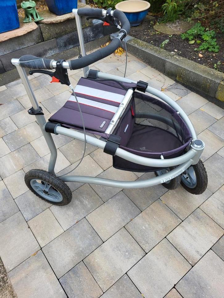 Wandelrollator, Diversen, Rollators, Ophalen of Verzenden