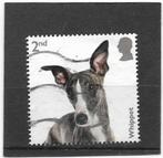 Engeland 2024 Dogs -  Whippet, Verzenden, Gestempeld