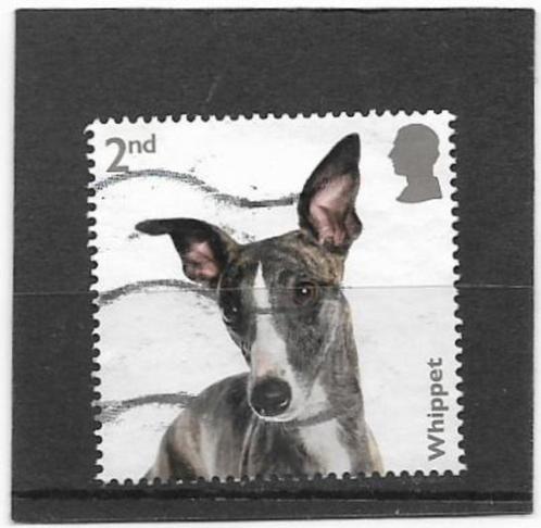 Engeland 2024 Dogs -  Whippet, Postzegels en Munten, Postzegels | Europa | UK, Gestempeld, Verzenden