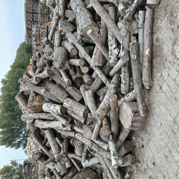 haardhout voor mooie prijs, Tuin en Terras, Haardhout, 6 m³ of meer, Ophalen