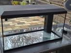 Aquarium juwel primo 110, Dieren en Toebehoren, Vissen | Aquaria en Toebehoren, Ophalen, Zo goed als nieuw, Leeg aquarium