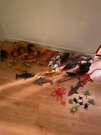 Speelgoed dieren leuk voor sinterklaas, Ophalen of Verzenden, Gebruikt