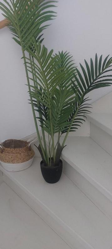 kunstplant met mand beschikbaar voor biedingen