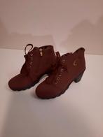 Nieuwe bordeaux rode enkellaarsjes - Maat 38, Kleding | Dames, Schoenen, Ophalen of Verzenden