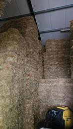 Weidehooi, Dieren en Toebehoren, Dierenvoeding, Ophalen, Vee