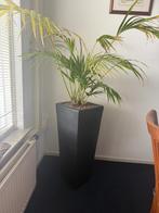 8 prachtige mooie plantenbakken!, Tuin en Terras, Ophalen, Steen, Vierkant, Zo goed als nieuw