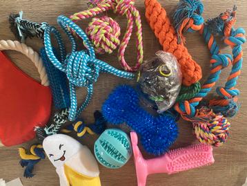 Nieuw speelgoed voor honden! beschikbaar voor biedingen