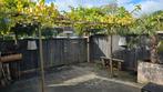 Dakplataan - 2 stuks, Tuin en Terras, Bloeit niet, 100 tot 250 cm, Dakboom, Ophalen