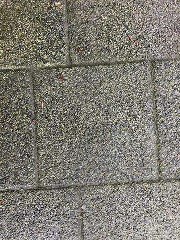 25 m2 gratis op te halen 18x18 cm beschikbaar voor biedingen